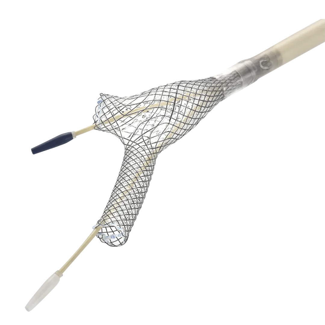 Medical Nitinol Silicone Segmented Stent with Delivery System